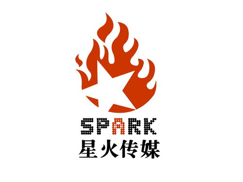 湖南環(huán)亞星火文化傳媒